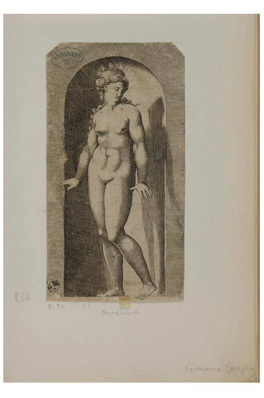 Fiorentino - Arianna, Galleria Sabauda, Torino